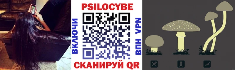 где купить наркоту  Гусев  Галлюциногенные грибы мицелий 